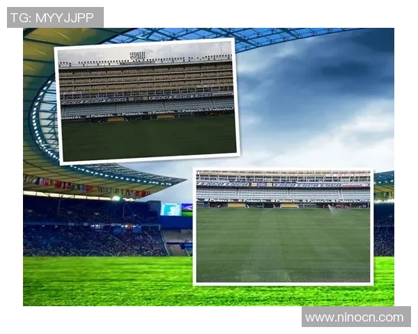 王姓足球明星的辉煌历程与成就探秘揭秘他们在绿茵场上的传奇故事