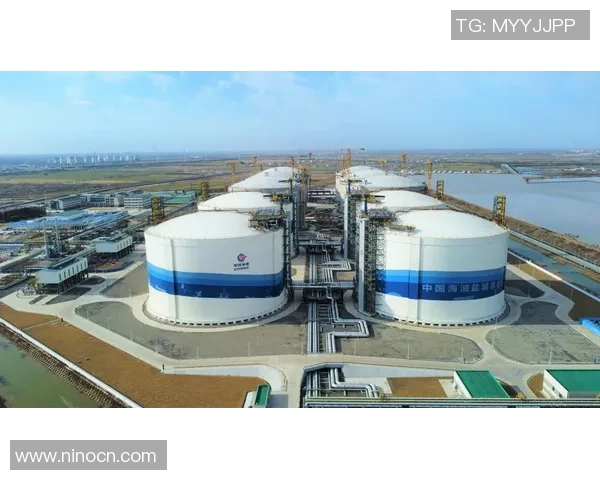 2026CS_GO意识排名：LNG创新高