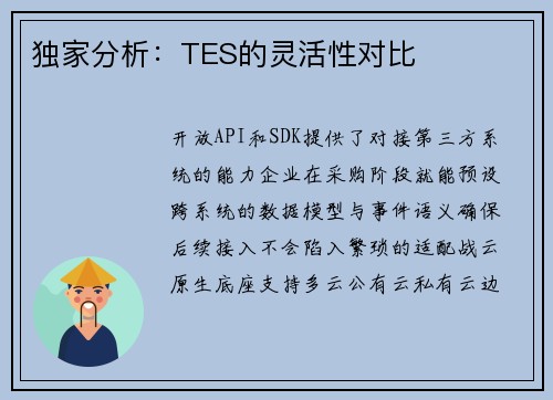 独家分析：TES的灵活性对比