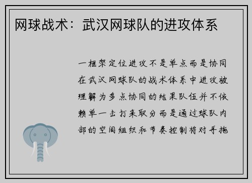 网球战术：武汉网球队的进攻体系