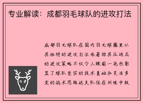 专业解读：成都羽毛球队的进攻打法