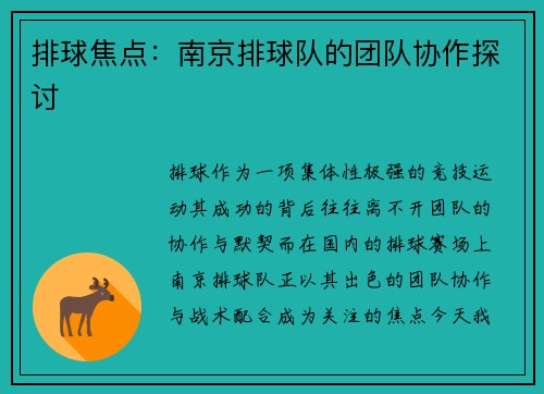 排球焦点：南京排球队的团队协作探讨