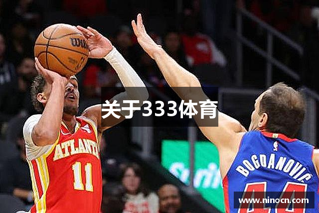 关于333体育